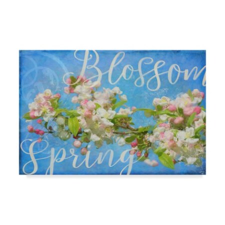 Cora Niele 'Spring Blossom' Canvas Art,22x32